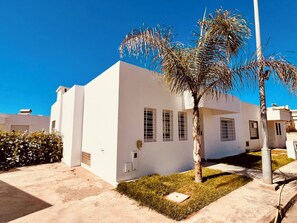 A modern white building with a small garden and a palm tree.