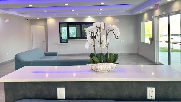 Een moderne receptie met een receptiebalie, een blauwe bank en een potplant.