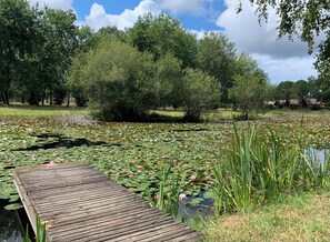 A wooden dock extending into a pond with lily pads and pink flowers. - Lakeside apartment with enclosed garden, dog allowed, electric charger (Hourtin)