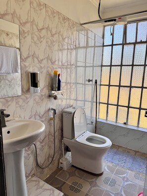 Shower, bidet, towels, soap