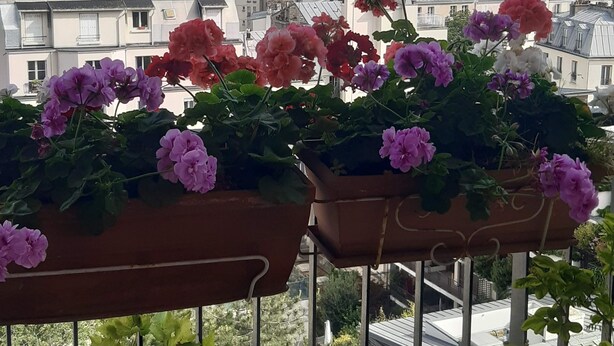 Ein Balkon mit Blumenkästen mit Blick auf eine Stadtlandschaft mit historischen Gebäuden und einer Kuppel.
