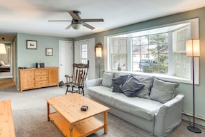 TV, fireplace, DVD player, books - Buena Vista Retreat - Close to MTB and River Walk (Buena Vista)