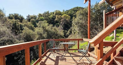 Artistic Dragonfly House with deck + private creek and trails to explore!