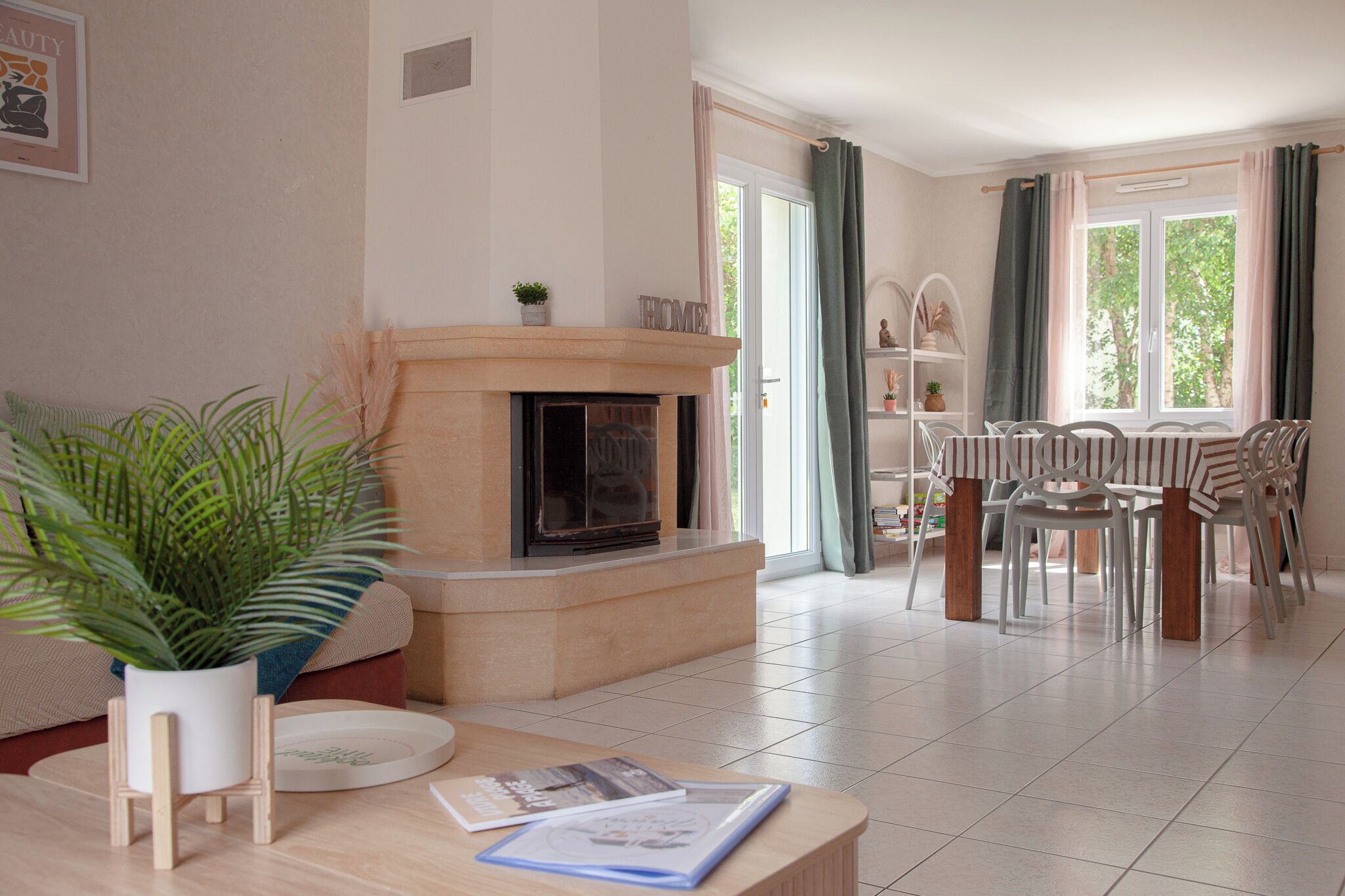 TV, fireplace, books