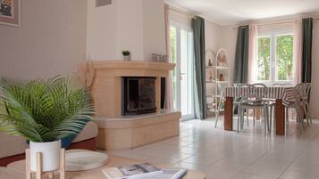TV, fireplace, books