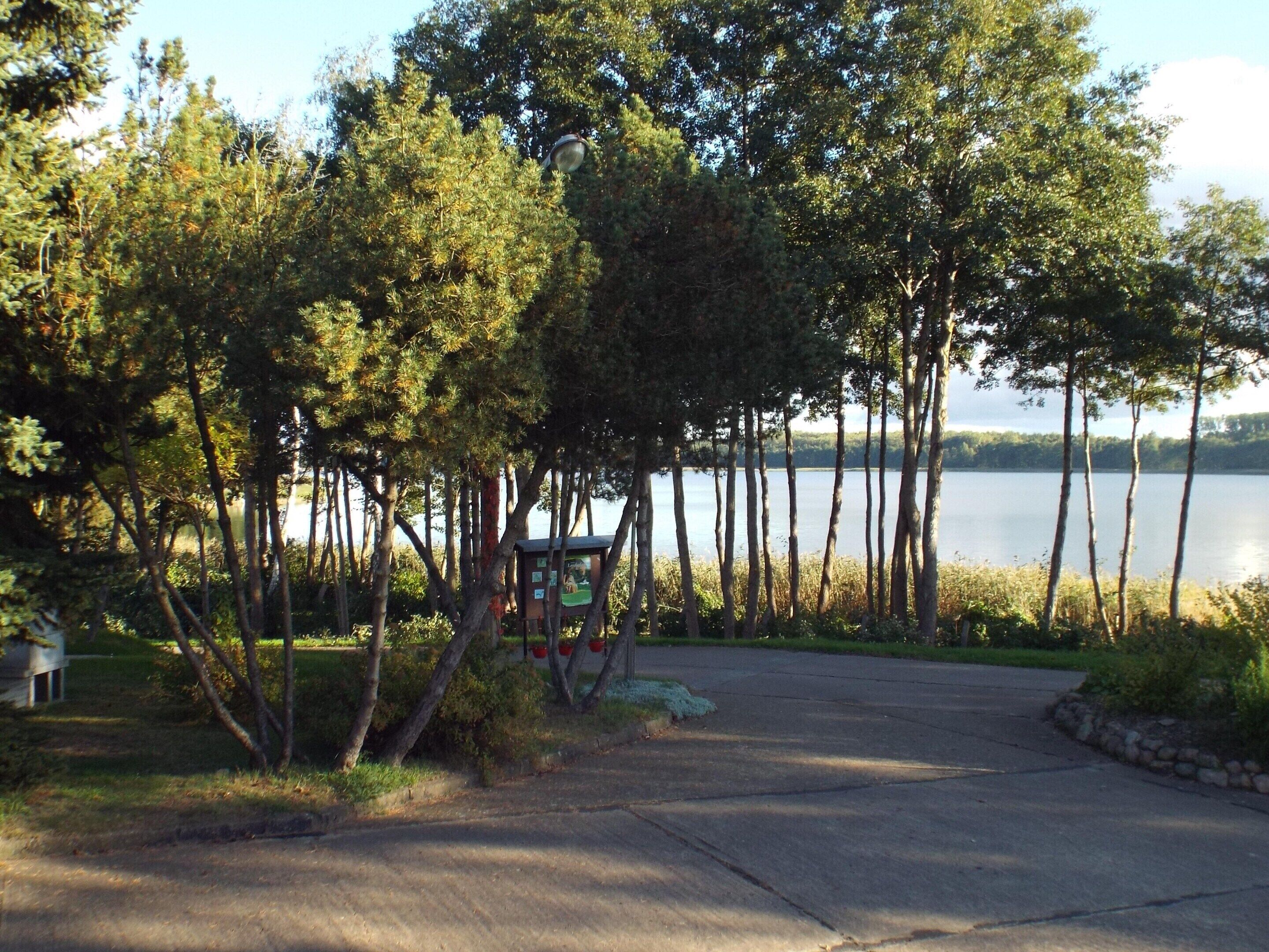 Una propietat al costat d'un llac, amb un camí asfaltat que condueix a una construcció semblant a una cabana, envoltada d'alzines altes.