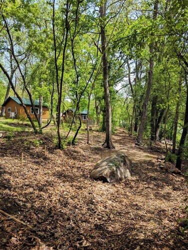 Fireside Cabin 10 - Family Studio with Bunks & Pet Friendly