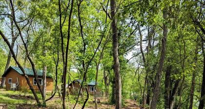 Fireside Cabin 10 - Family Studio with Bunks & Pet Friendly