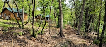 Fireside Cabin 10 - Family Studio with Bunks & Pet Friendly