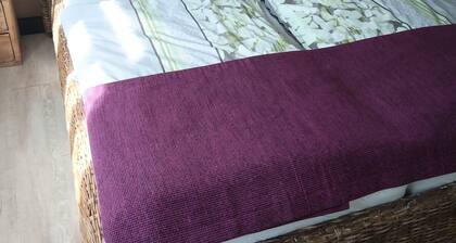 Gästehaus „Apartment 4“ mit gemeinsamer Terrasse