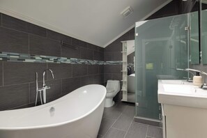 Shower, hair dryer, shampoo