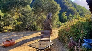Un espace extérieur aménagé dans un style rustique, avec une table en métal et une chaise en bois, entouré d’une végétation luxuriante et offrant une vue sur les montagnes en arrière-plan.