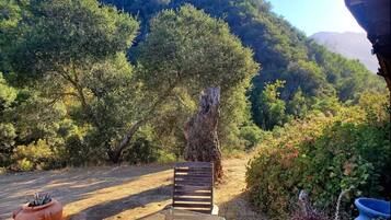 Ristorazione all'aperto