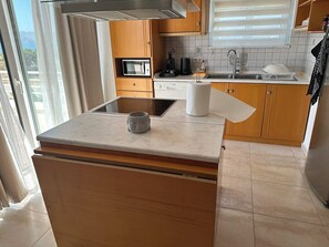 Microwave, oven, stovetop, dishwasher - Castle & Sea Panorama Penthouse
 A short walk from Haraki seafront (Charaki)