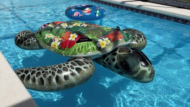Ein Swimmingpool mit einem Schildkröten-Schwimmspielzeug und einem blauen Luftreifen.