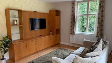 TV, fireplace, table football