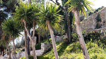 Deluxe Double Room, Balcony, Partial Sea View | Property grounds