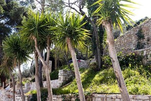 Deluxe Double Room, Balcony, Partial Sea View | Property grounds