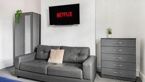 Moderni olohuone, jossa on harmaa sohva, litteänäyttöinen televisio, jossa näkyy teksti ”NETFLIX”, harmaa kaappi ja pieni kasvi.