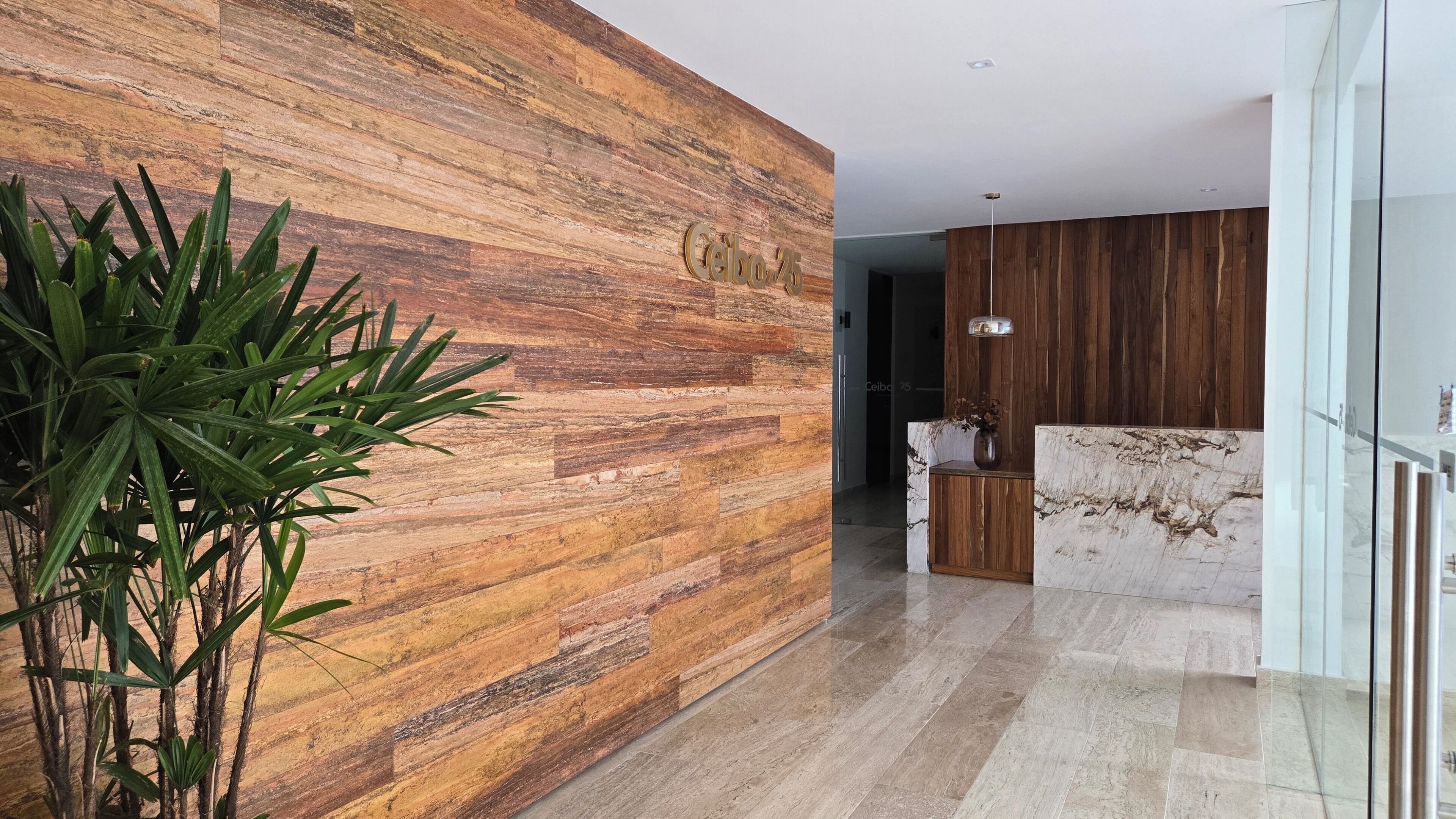 Un interior modern amb una paret de fusta, una planta i una taulell de recepció de marbre.