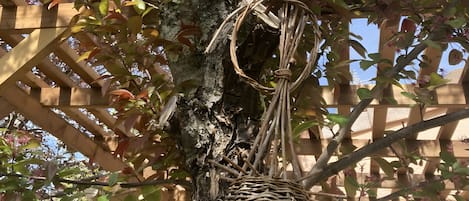 DĂ©tail de lâextĂ©rieur