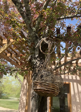Exterior detail. Studio "Little Nest for Travelers" with Private Terrace, Wi-Fi, and Air Conditioning