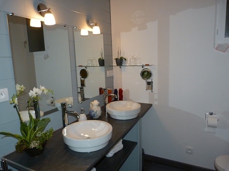 Shower, hair dryer, towels. Guest Room "La Chambre Aux Oiseaux" with Private Terrace, Wi-Fi and Air Conditioning