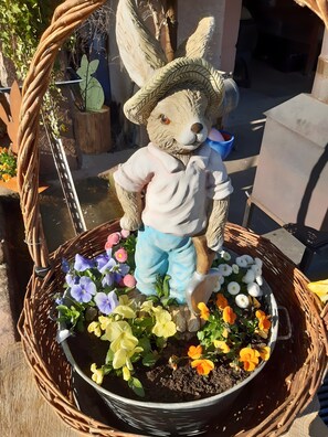 Áreas de la propiedad