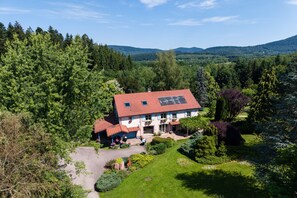 Exterior - Gîte "Gîte de La Pieviche" with Mountain View, Wi-Fi, and Air Conditioning (on request) (Provenchères-et-Colroy)