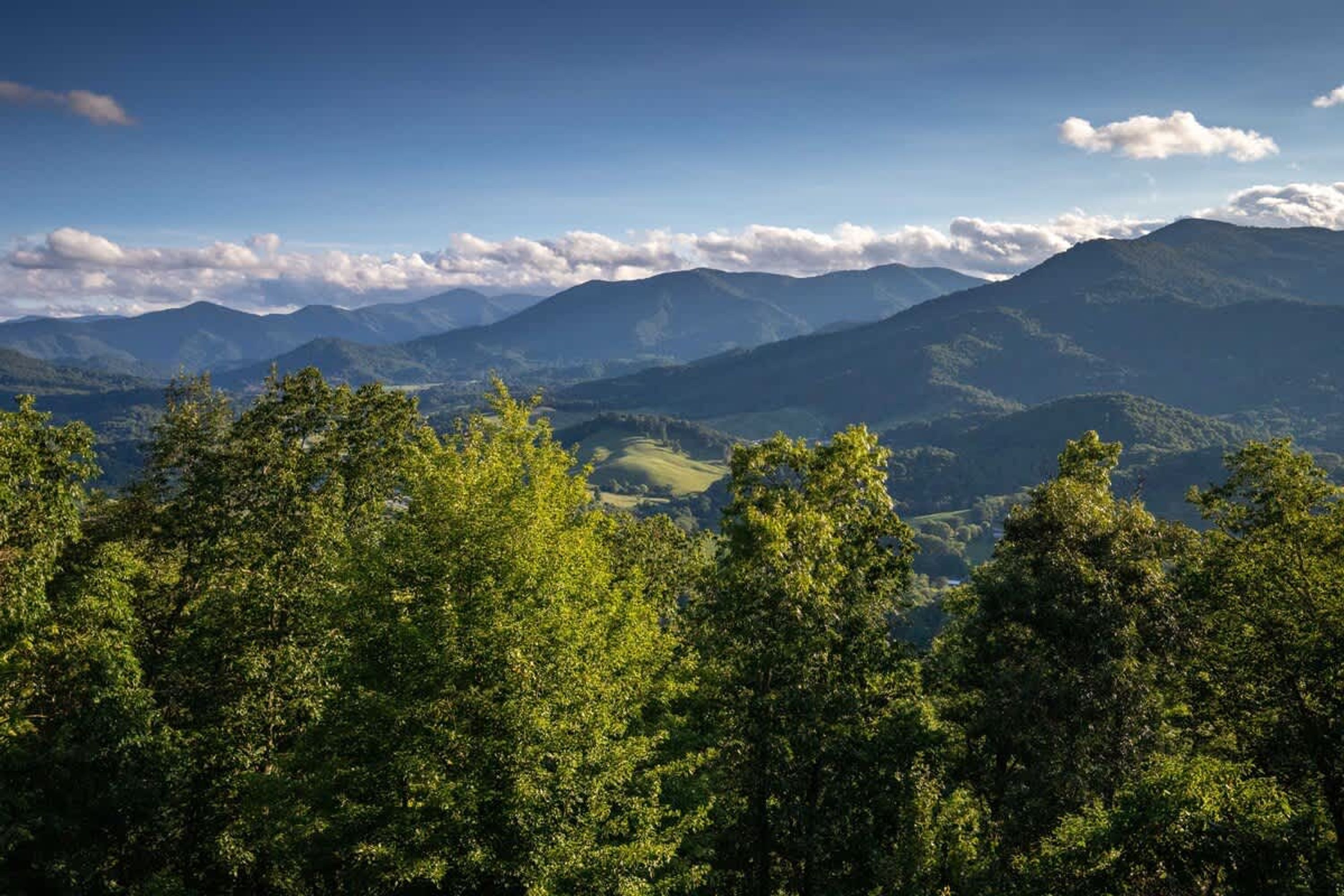 Eine gebirgige Landschaft mit dichtem Wald im Vordergrund und sanften Hügeln im Hintergrund.