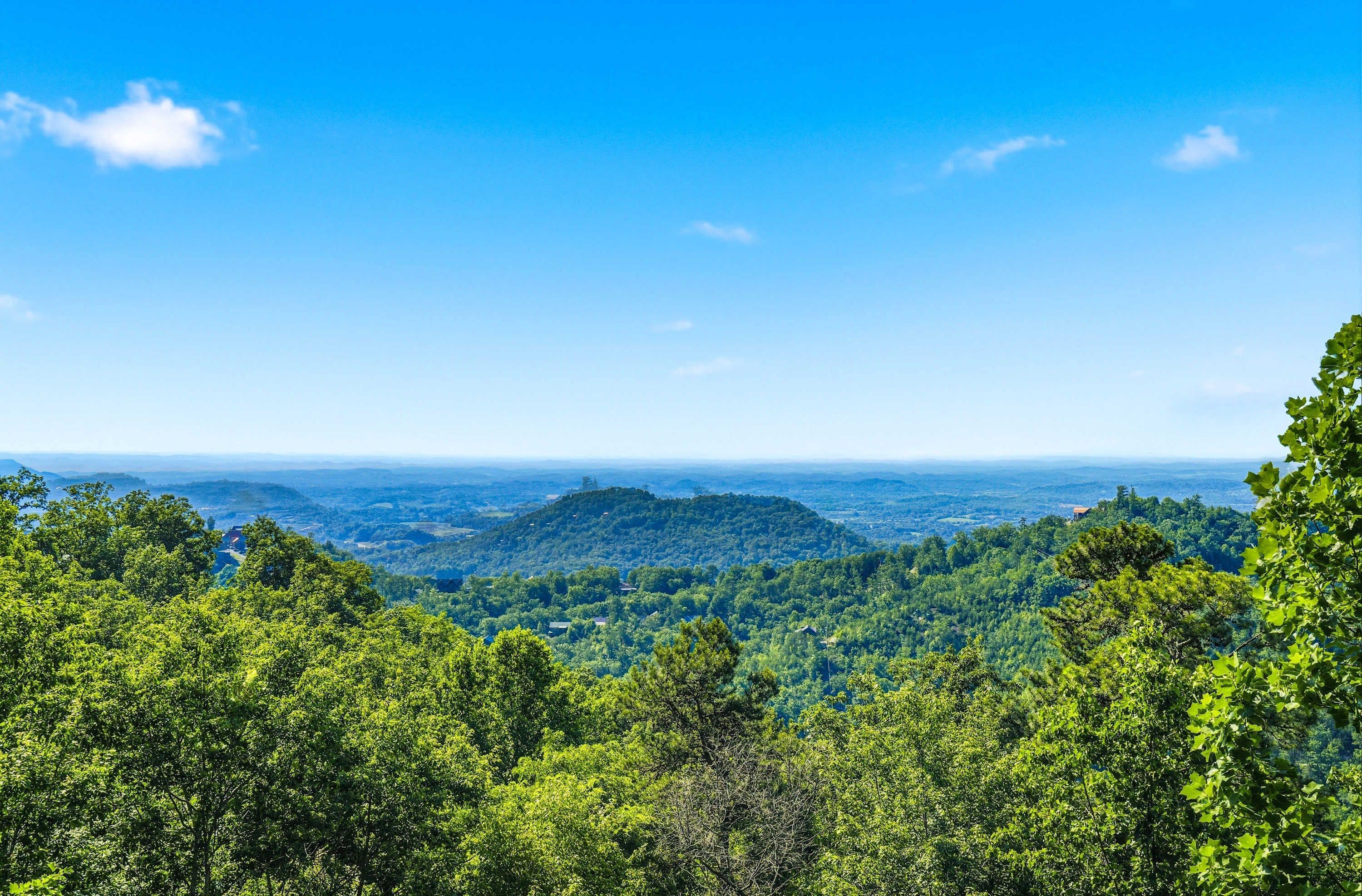 Ein weiter Blick über eine bewaldete Landschaft bei klar blauem Himmel.