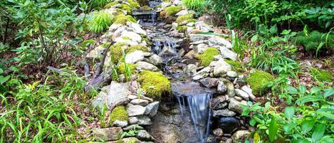 A small waterfall in a lush garden with rocks and moss.