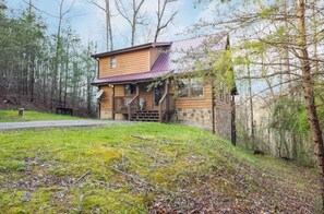 Suite - Quiet 3 3 on 1 Acre 15 Min to Downtown PF (Sevierville)