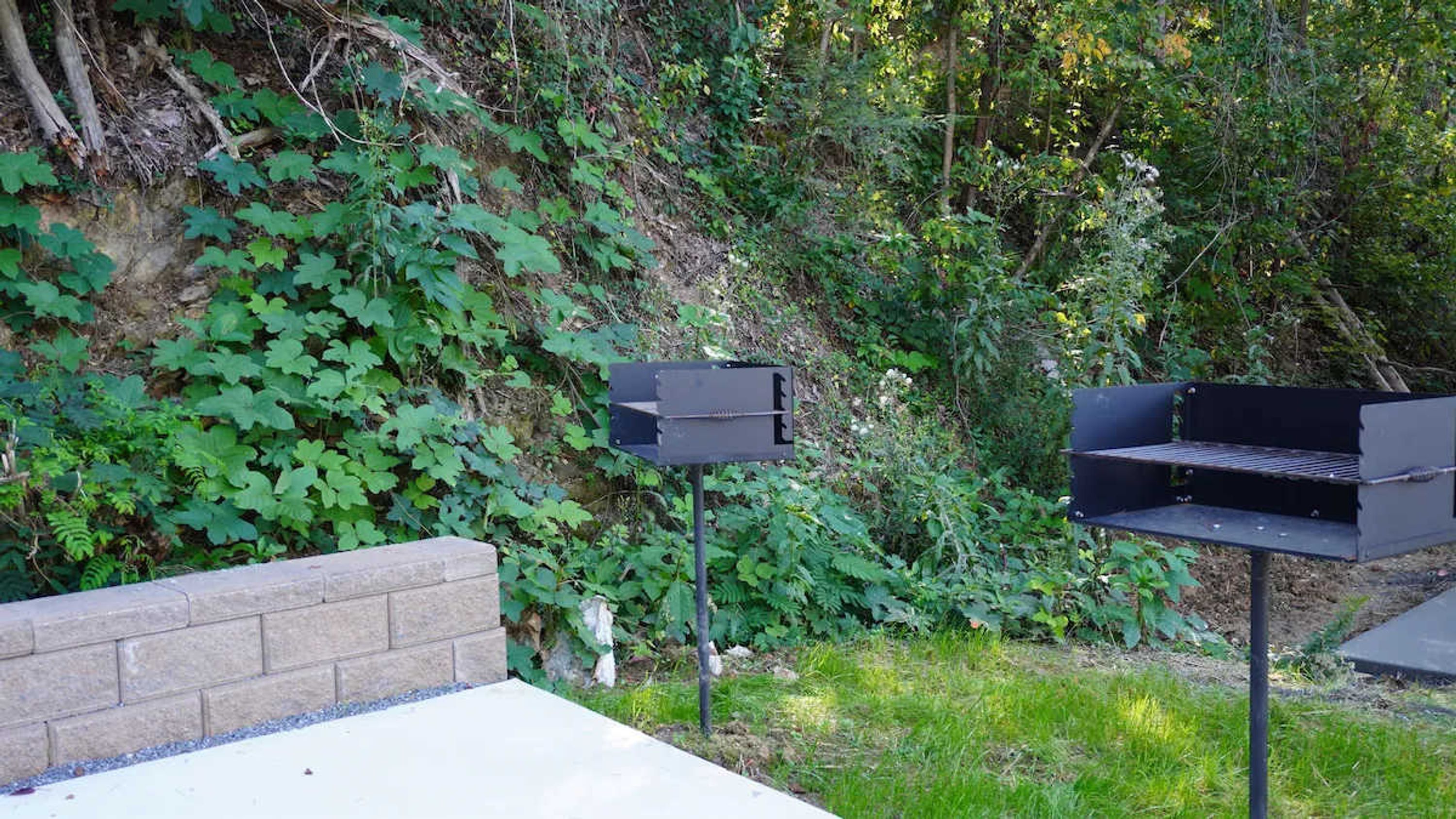 Un espace barbecue extérieur avec un mur en briques et un feuillage dense en arrière-plan.