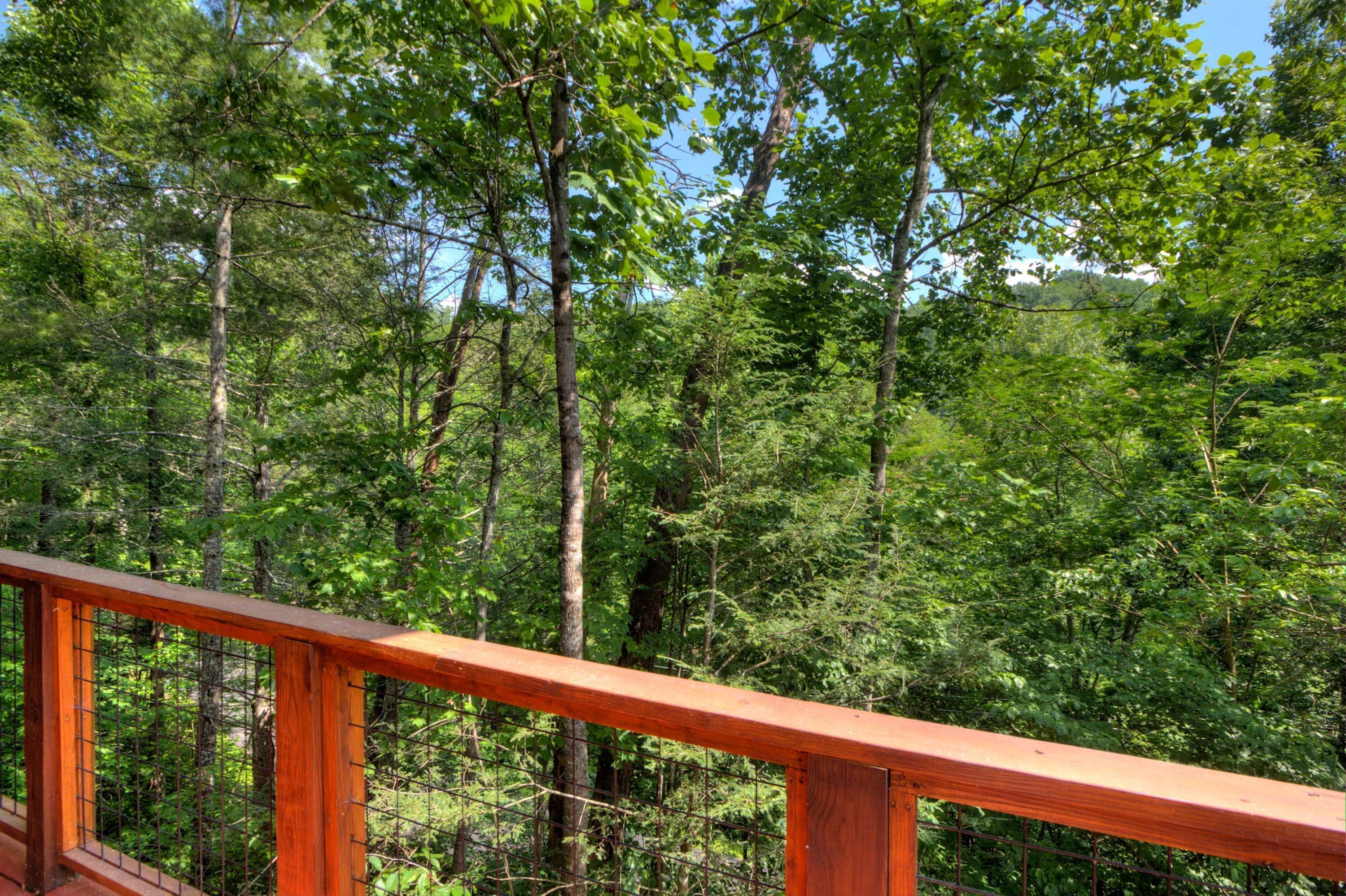 A forested area with a wooden railing.