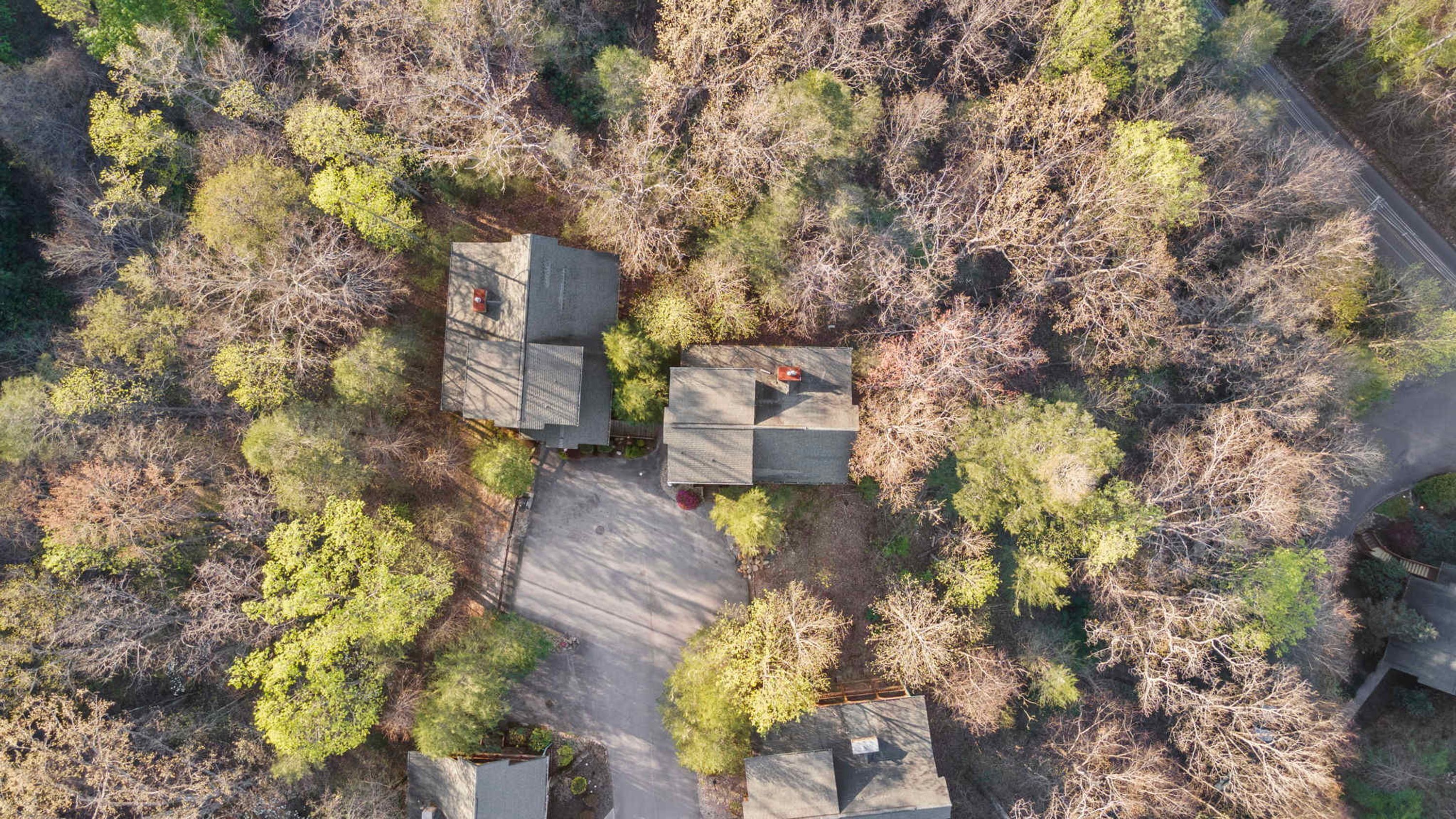 An aerial view of a residential area with multiple houses, a paved road, and surrounding trees.