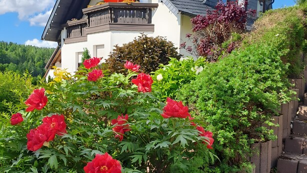 Una casa con techo inclinado, balcón y jardín con flores rojas.