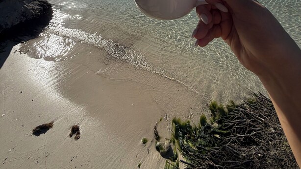En hånd holder en kaffekop, palmer og en strand med klart vand.