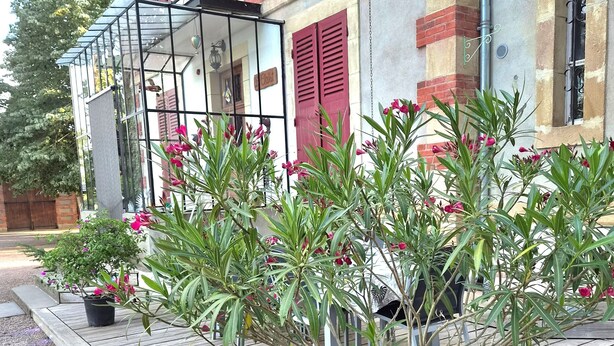 Un edificio con contraventanas rojas, un balcón con cerramiento de vidrio y plantas en macetas sobre una terraza de madera.