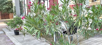 Holiday Home 'Le Chalêt La Neverdiere' with Private Terrace, Shared Garden and Wi-Fi