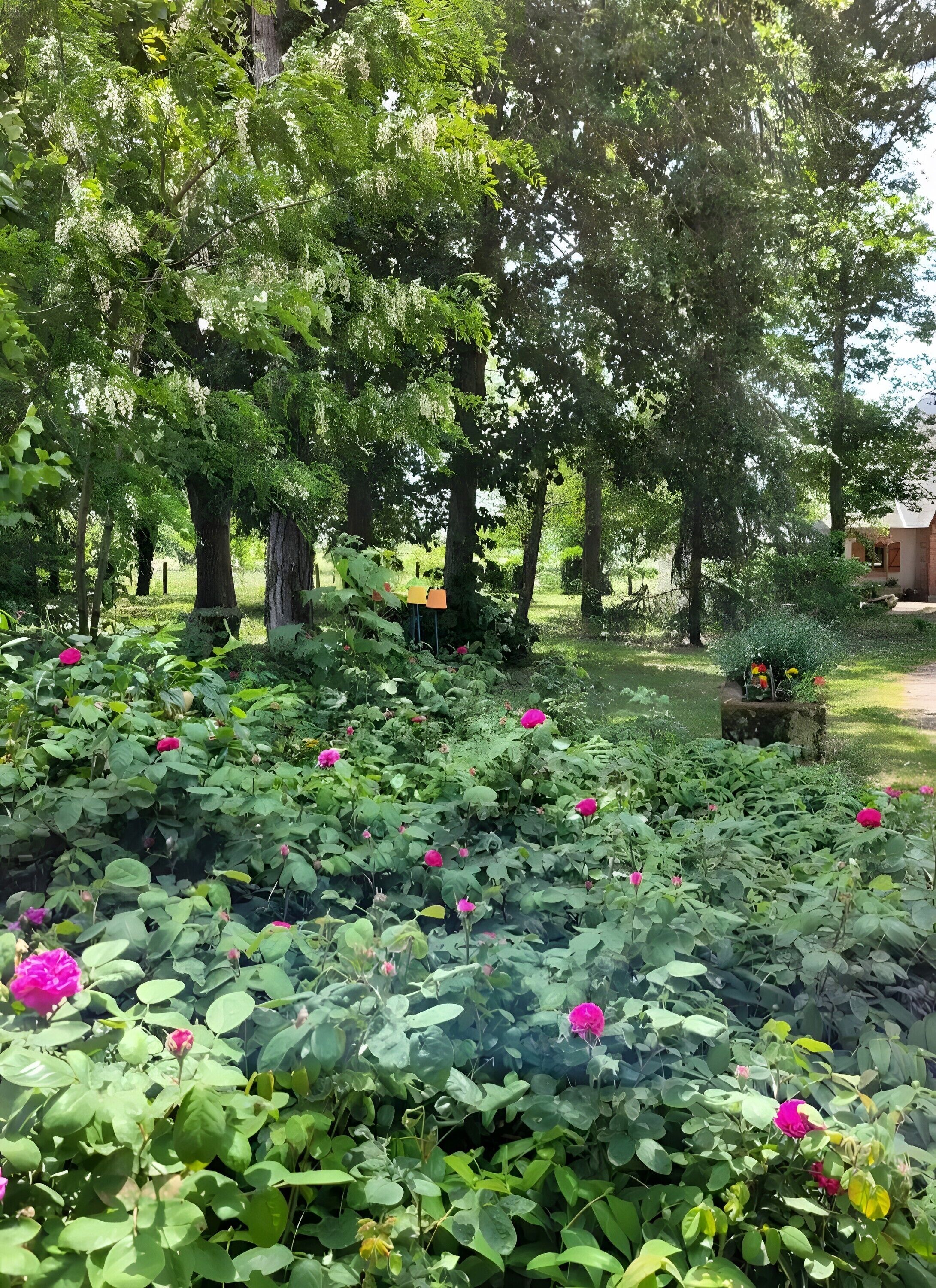 Enceinte de l’hébergement