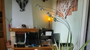 Ein Essbereich mit Holztisch, Topfpflanzen und Kamin.