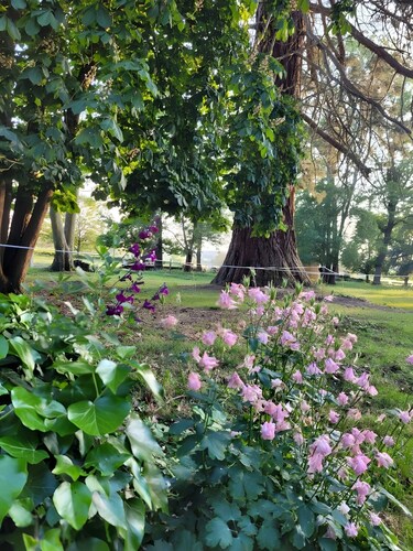 Bed and Breakfast 'Chambre D'hôte - Le Chalêt' with Shared Terrace, Shared Garden and Wi-Fi