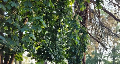 Bed and Breakfast 'Chambre D'hôte - Le Chalêt' with Shared Terrace, Shared Garden and Wi-Fi