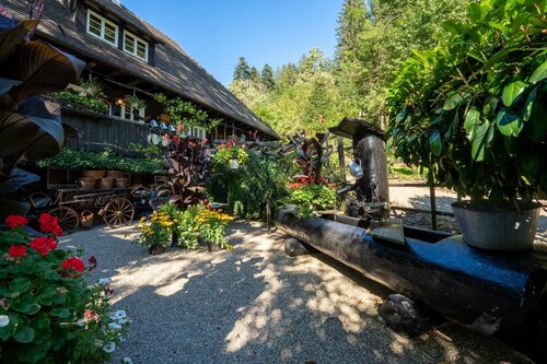 Schwarzwaldhaus Wolftal - Historic hunting estate, park and torrent in the Black Forest