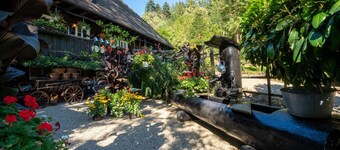 Schwarzwaldhaus Wolftal - Historic hunting estate, park and torrent in the Black Forest