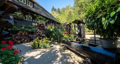 Schwarzwaldhaus Wolftal - Historic hunting estate, park and torrent in the Black Forest