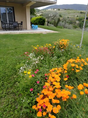 Jardines del alojamiento