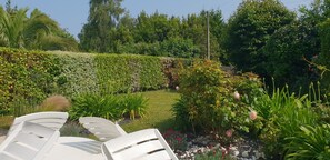 Área da propriedade