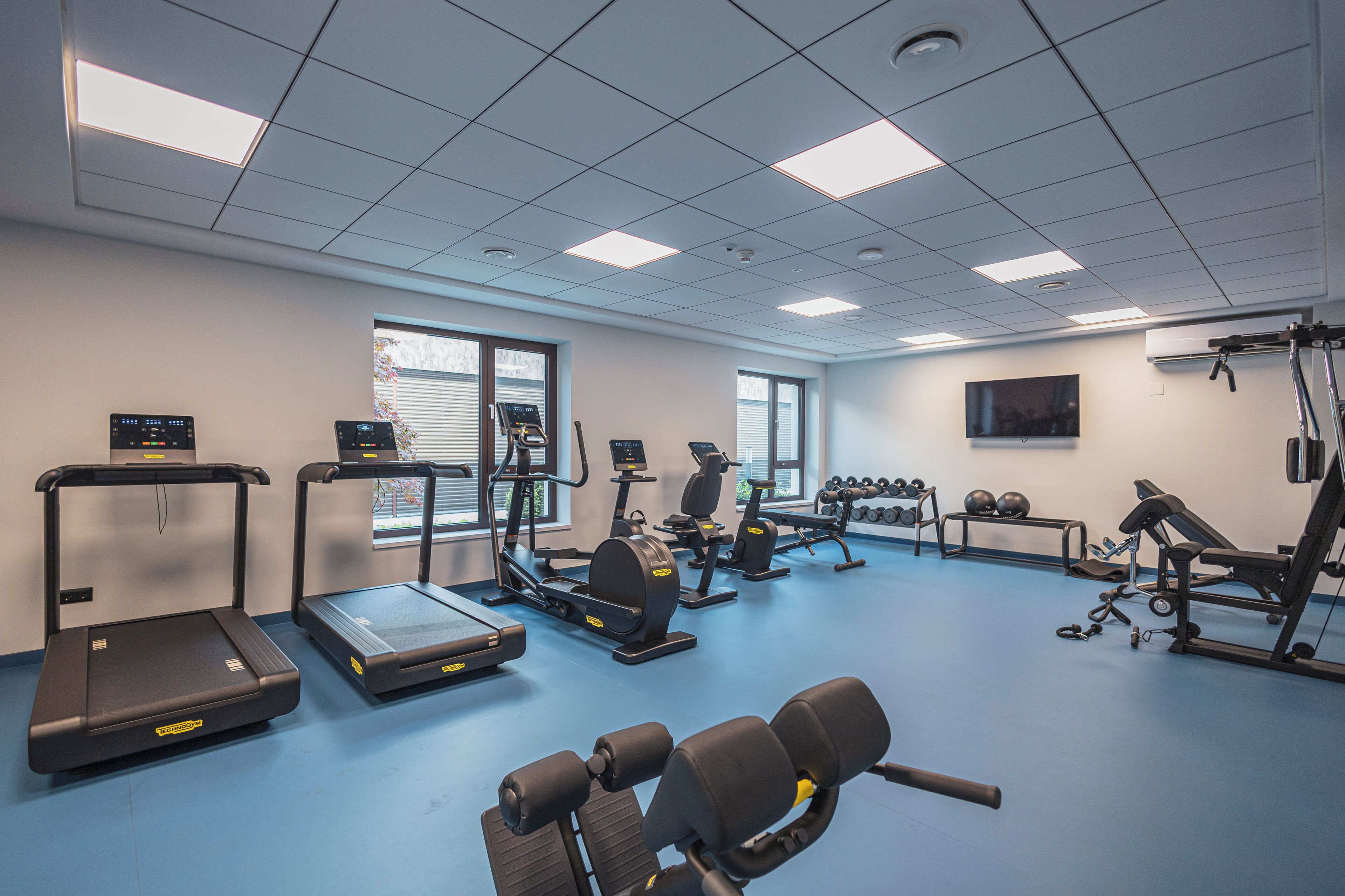 A gym with treadmills, elliptical machines, free weights, and exercise balls.
